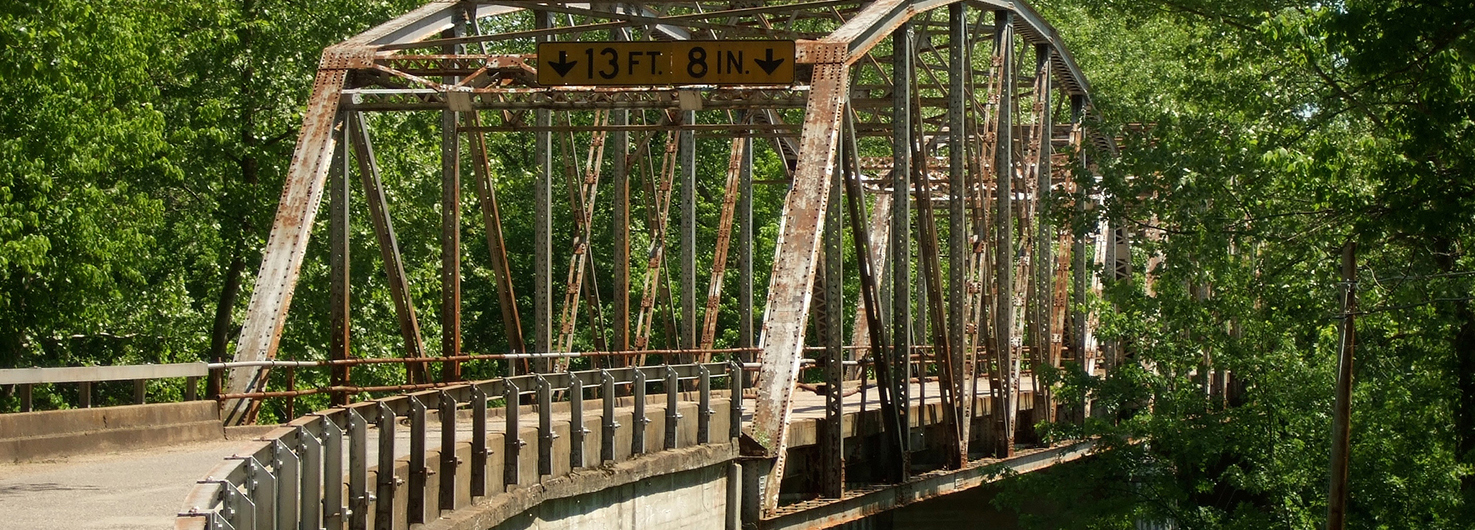 truss bridge surrounded by trees